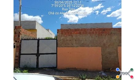 Lot cha de alegria iii