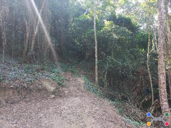 Loteamento bairro ipiratininga
