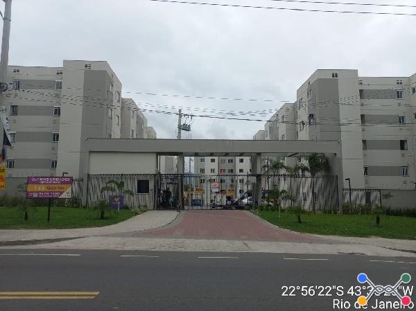 Cond vivaz magarça