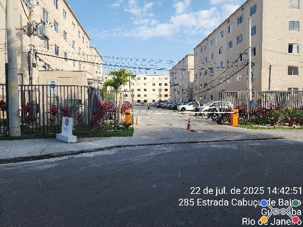 Cond vivaz magarça