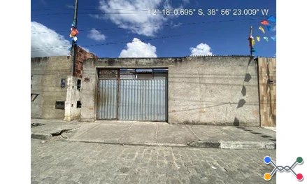 Lot asa branca