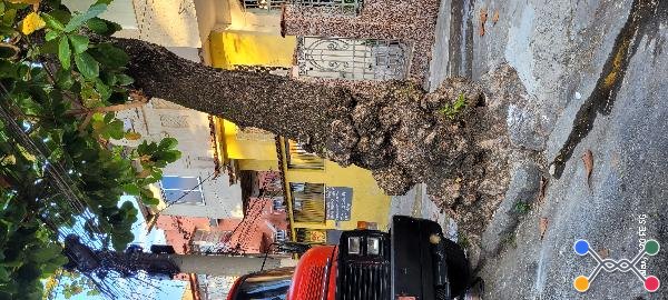 Rio de janeiro - ramos