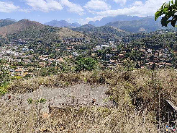 Petropolis - nogueira