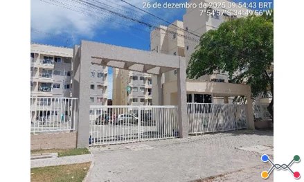 Paulista - pau amarelo