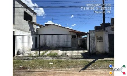 Paulista - pau amarelo