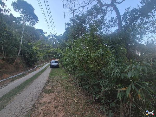 Petropolis - araras