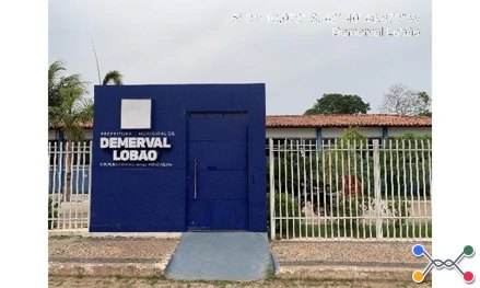 Demerval lobao - piaçava i