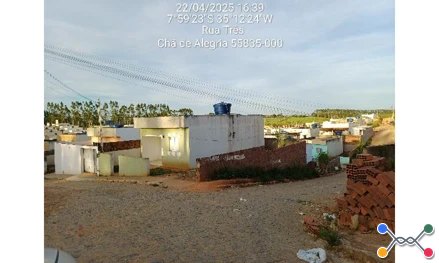 Lot nova cha de alegria iii