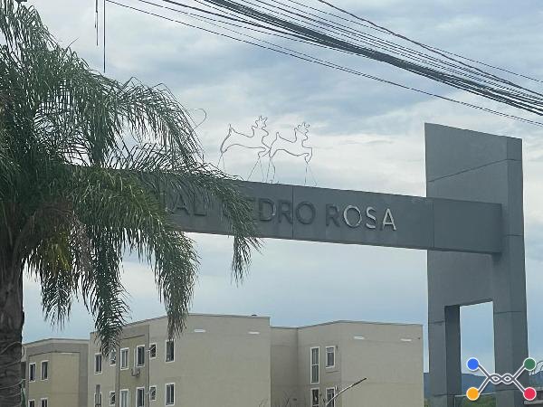 Res cedro rosa