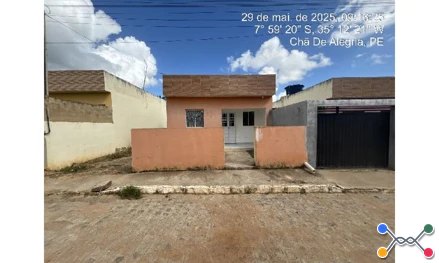 Cha de alegria - lot nova cha de aleg