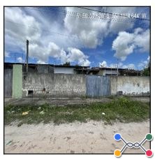 Macaiba - bela macaiba