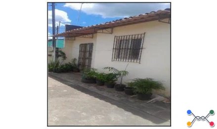 Cha de alegria - nova cha de alegria