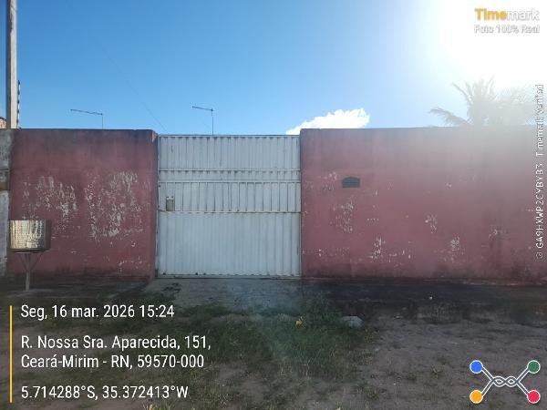Ceara-mirim - massaranduba