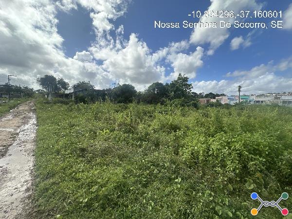 Lot parque são benedito,