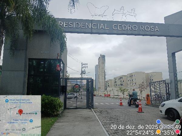 Res cedro rosa