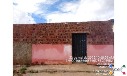 Lot nova cha de alegria - iii