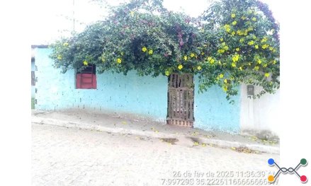 Lot res nova cha de alegria