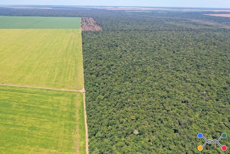 Fazenda Rancho Alegre 501ha | Gaúcha do Norte-MT |Próxima ao Ribeirão Kevualeli