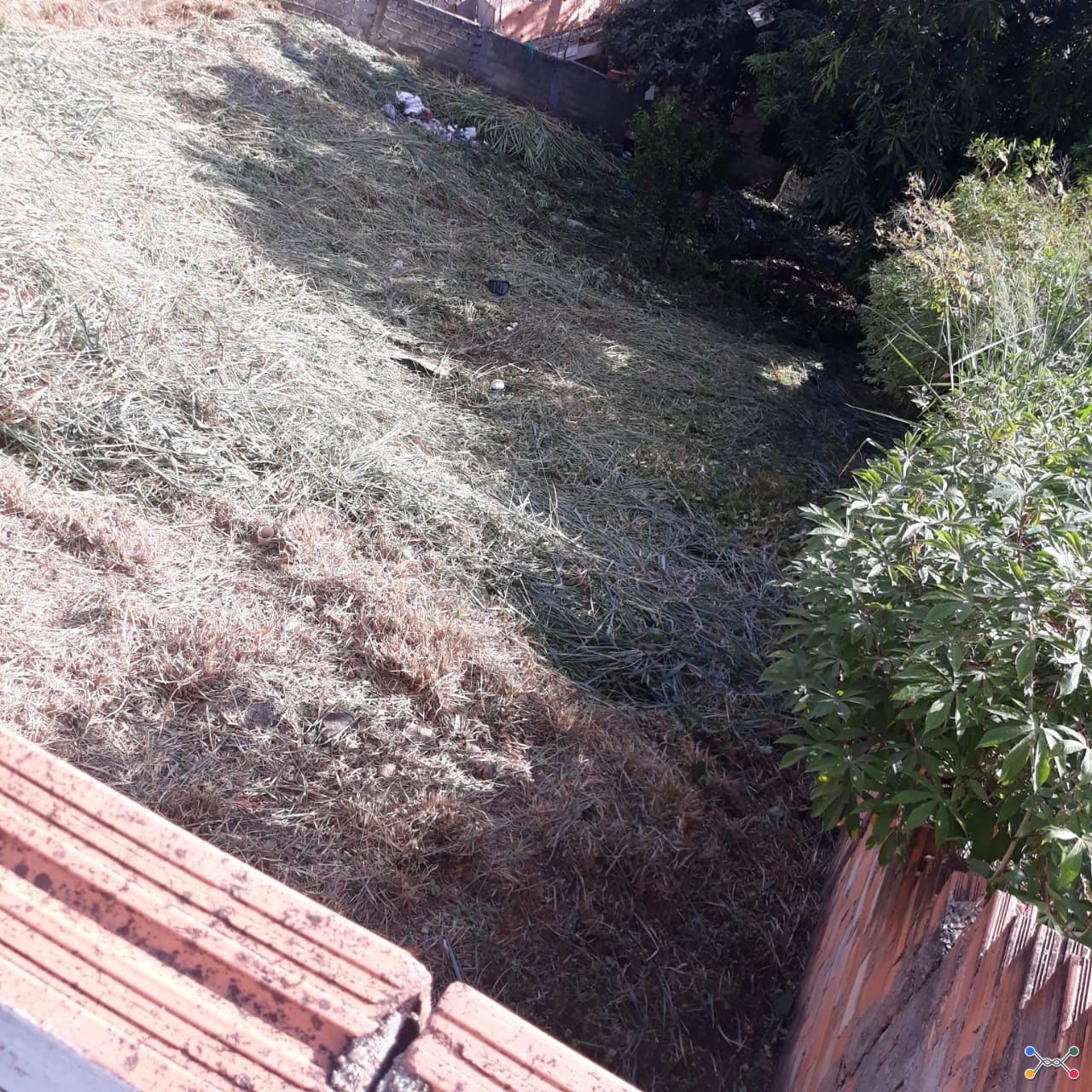 Lote, Indefinida