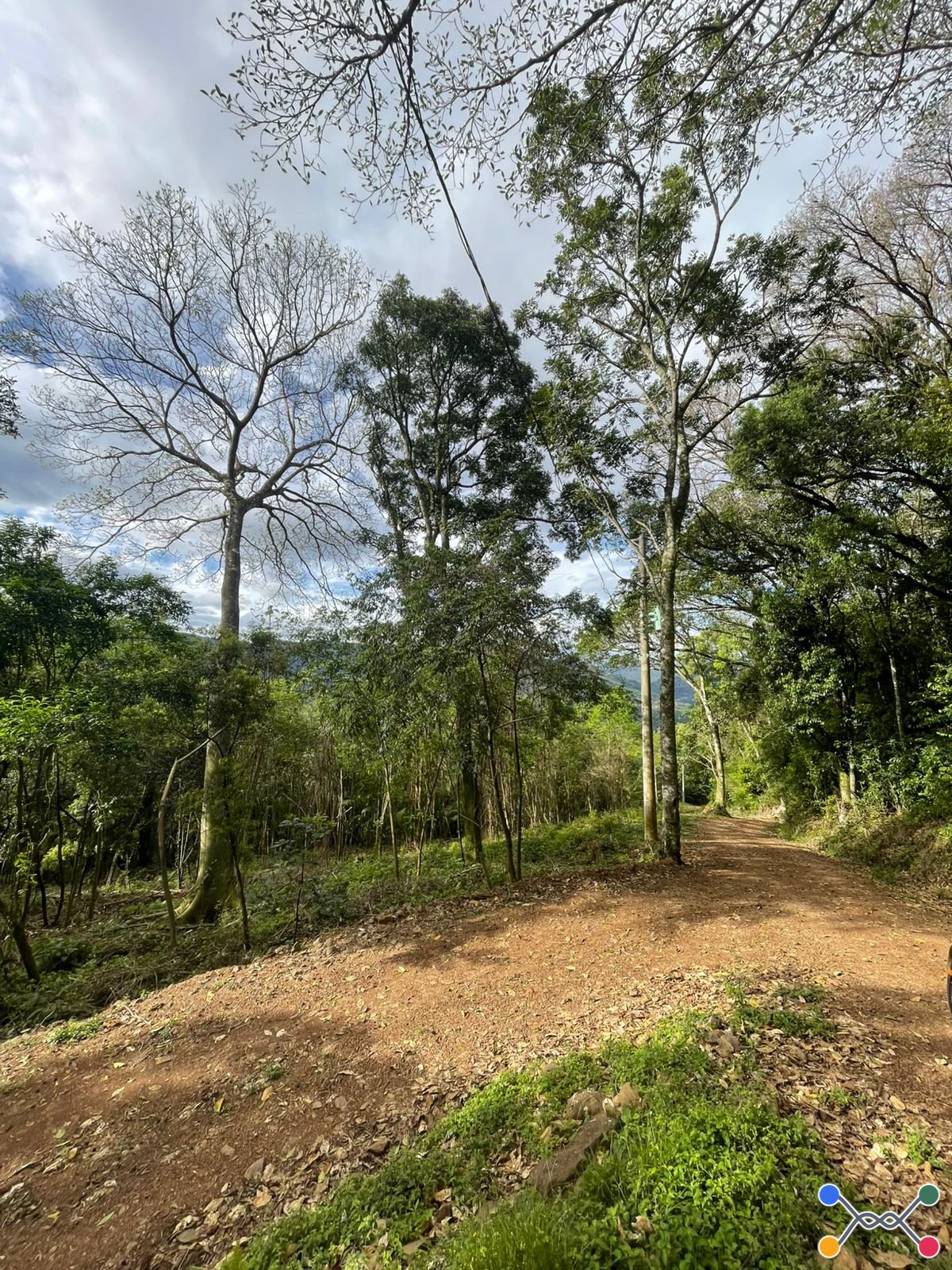 Chácara/Sítio, Rural, CENTRO