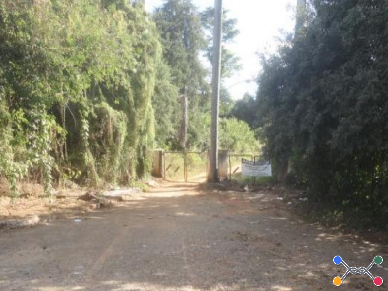 Lote, Rural, Trevo