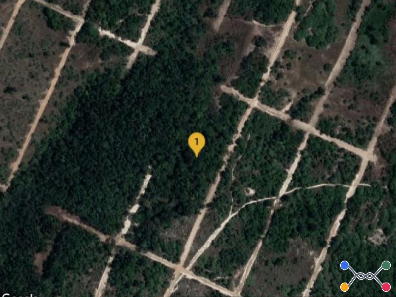 Lote, Residencial, Parque das Margaridas