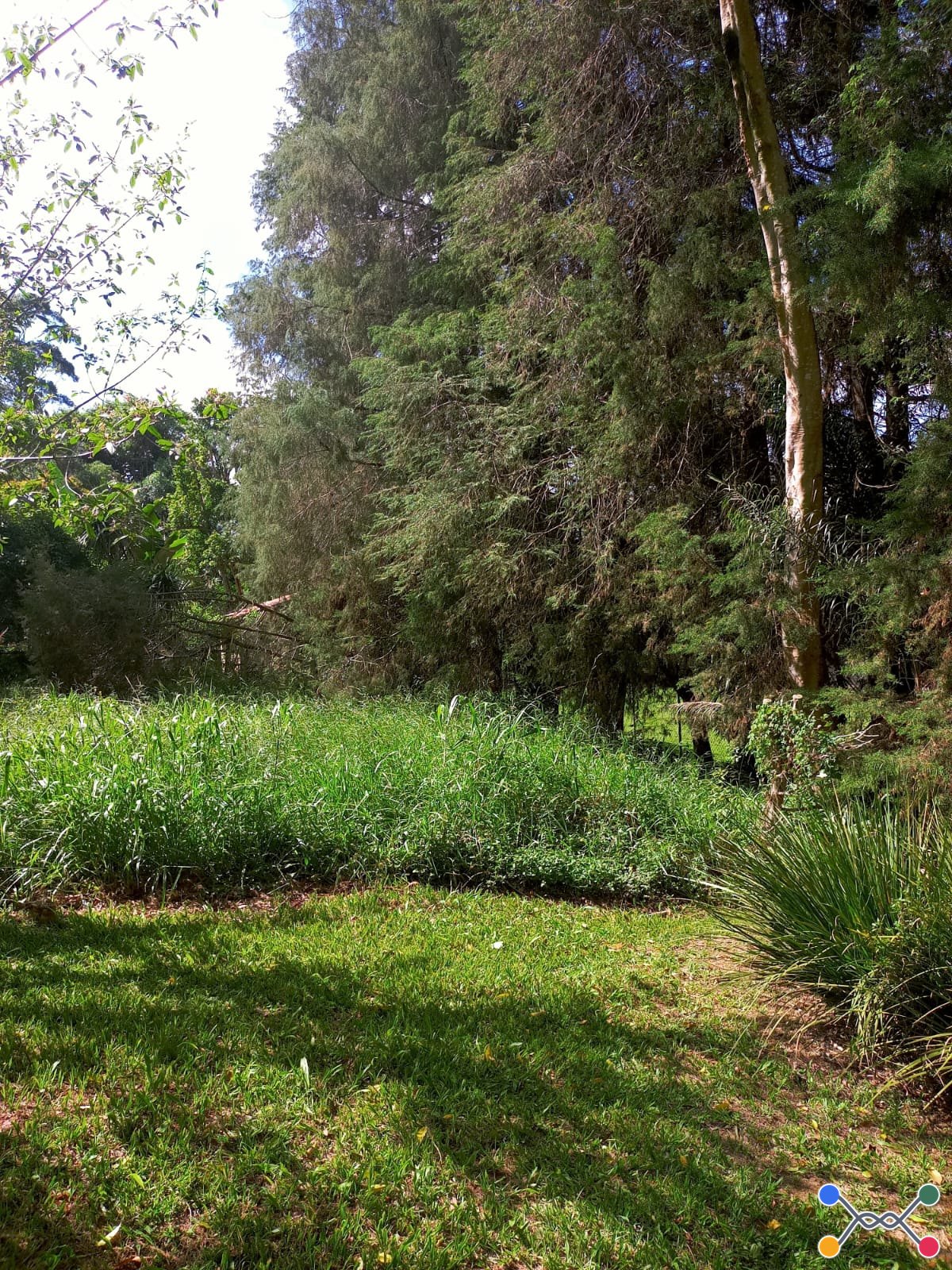 Lote em Condomínio, Residencial, San Diego