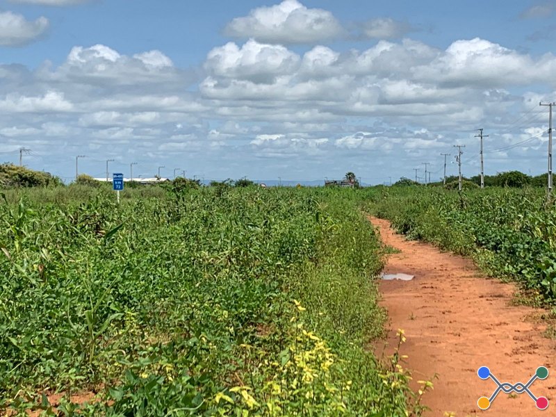 Lote, Misto, Portal da Chapada